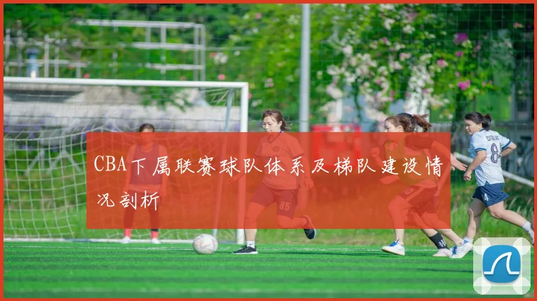 CBA下属联赛球队体系及梯队建设情况剖析