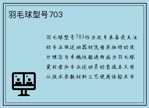 羽毛球型号703